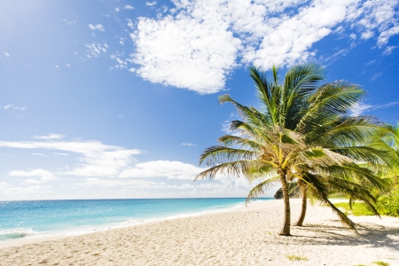 Foul Bay, Barbados, Caribbeanの写真素材