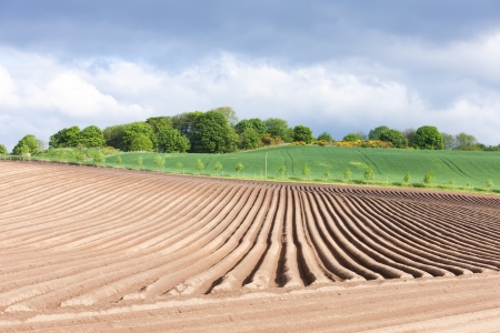 landscape with field, Fife, Scotlandの写真素材