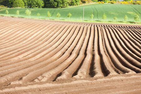 landscape with field, Fife, Scotlandの写真素材