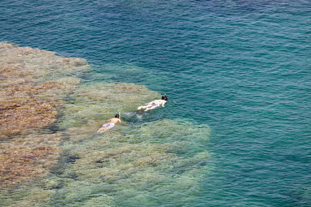 snorkeling at Cap de Peyrefite, Languedoc-Roussillon, Franceの写真素材
