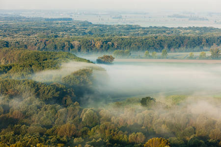 landscape with autumnal forest in fogの写真素材