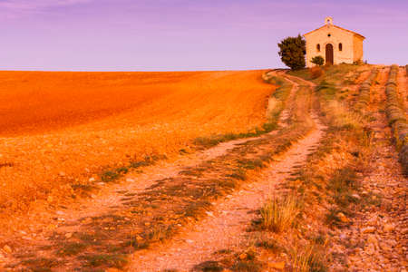 chapel with lavender field, Plateau de Valensole, Provence, Franceの写真素材