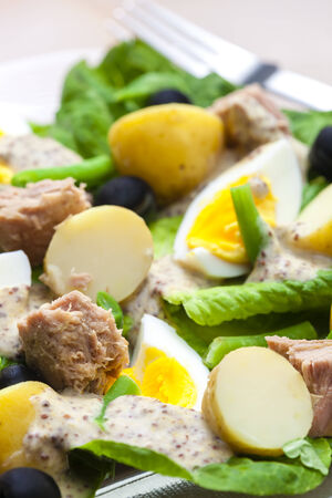 Nicoise saladの写真素材