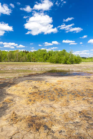 nature reserve called Soos, Czech Republicの写真素材