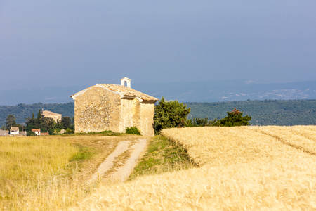 chapel with grain field, Plateau de Valensole, Provence, Franceの写真素材