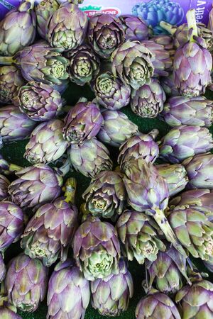 artichokes, market in Forcalquier, Provence, Franceの写真素材