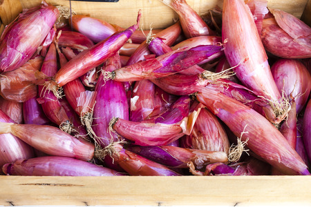 shallots, market in Forcalquier, Provence, France