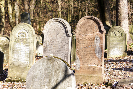 Jewish cemetery, Luze, Czech Republicのeditorial素材