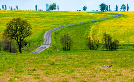 spring landscape with a road, Czech Republicの写真素材