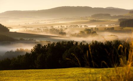 autumnal landscape in fog, Sumava, Czech Republic