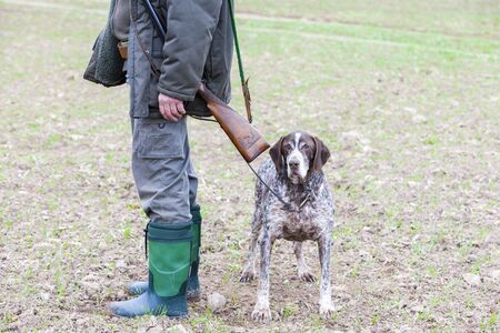hunting dog with hunterの写真素材