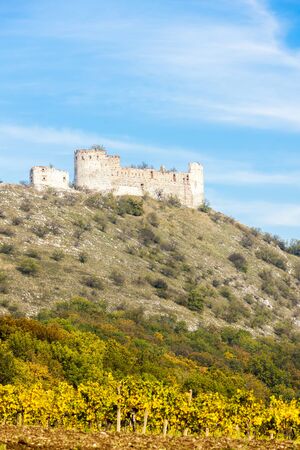 ruins of Devicky Castle with vineyard in autumn, Czech Republicの写真素材
