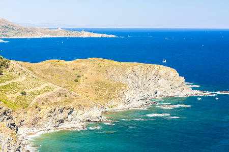 vineyard on Cote Vermeille, Languedoc-Roussillon, Franceの写真素材