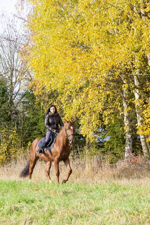 equestrian on horseback in autumnal natureのeditorial素材