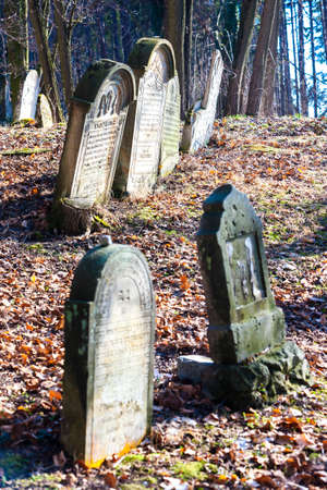 Jewish cemetery, Luze, Czech Republicの写真素材