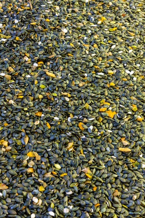 picking pumpkin seeds