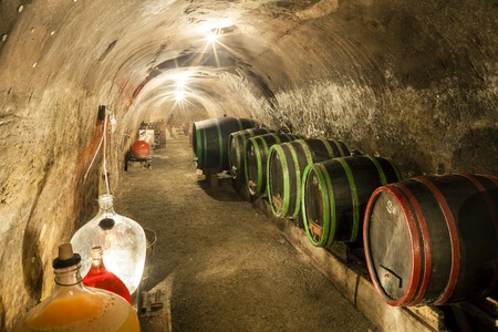 wine cellar, Moravia, Czech Republicの写真素材