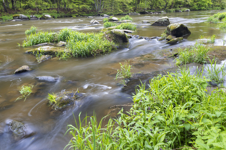 river Sazava near Smrcna, Czech Republic