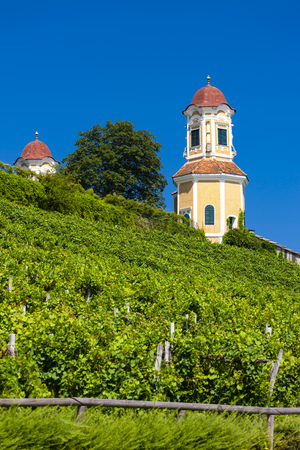 Castle Stainz and vineyard, Styria, Austriaのeditorial素材