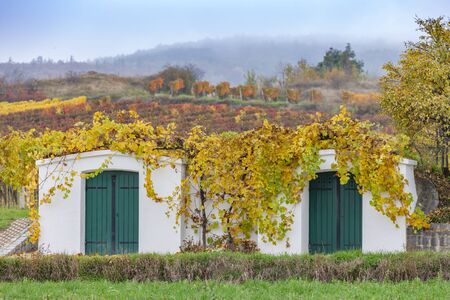 old cellars and autumn vineyards near Retz, Lower Austria, Austria