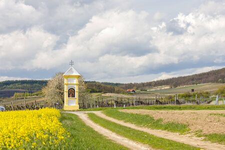 Gods torture near Retz, Austriaの写真素材