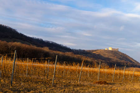 ruins of Devicky Castle with vineyards, Czech Republicのeditorial素材