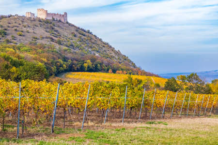 ruins of Devicky Castle with vineyards, Czech Republicのeditorial素材