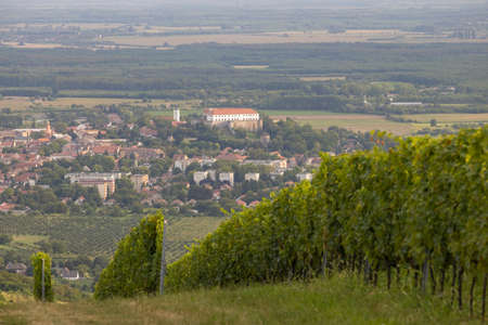 Siklos castle in Villany region with vineyards, Southern Hungaryのeditorial素材