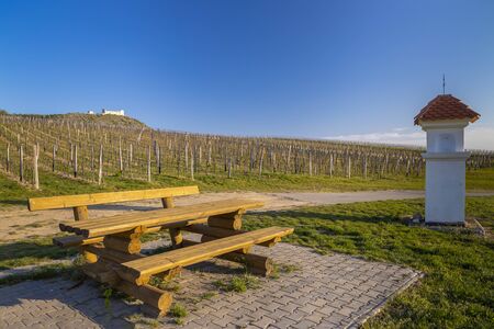 Spring landscape near Pavlov with Devicky ruins in Palava, Southern Moravia, Czech Republicの写真素材