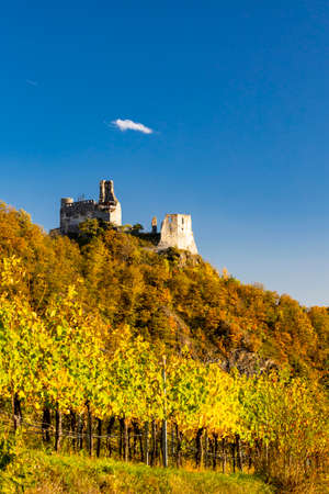 Ruins of Senftenberg, Krems-Land District, Lower Austria, Austriaのeditorial素材