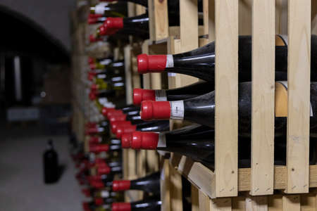 wine cellar in Thallern winer, Gumpoldskirchen near Vienna, Lower Austria, Austria