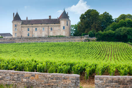 Chateau de Rully with vineyards, Burgundy, Franceのeditorial素材