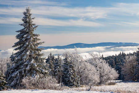 Orlicke Mountains in winter, Czech Republicの写真素材