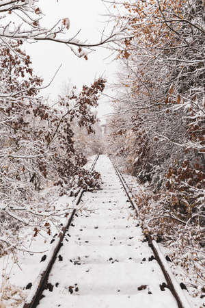 snowy canceled old railway trackの写真素材