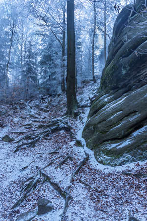 landscape in a nature reserve Broumovske steny, eastern Bohemia, Czech Republicの写真素材