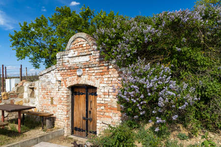 wine cellar, Palava region, South Moravia, Czech Republicの写真素材