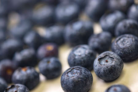 still life with blueberries on a white patterned background