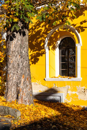 Village monument reserve Nahorany near Volyne, Western Bohemia, Czech Republicの写真素材