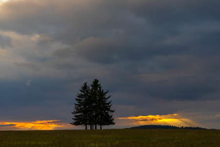 Landscape at sunset in Slavkovsky les near Horni Slavkov, Western Bohemia, Czech Republic