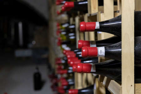 wine cellar in Thallern winer, Gumpoldskirchen near Vienna, Lower Austria, Austriaの写真素材