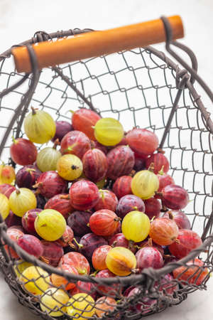 mixture of gooseberries in the basketの写真素材