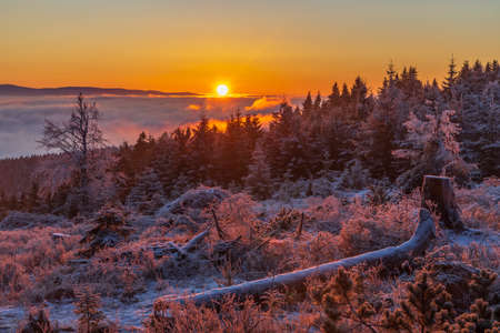 Sunrise in winter landscape near Velka Destna, Orlicke mountains, Eastern Bohemia, Czech Republicの写真素材