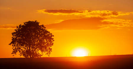 Sunset of Palava hill, South Moravia, Czech republicの写真素材