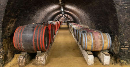 Old wine cellar in Pecs, Hungaryのeditorial素材