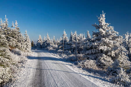 Winter landscape near Velka Destna, Orlicke mountains, Eastern Bohemia, Czech Republicの写真素材