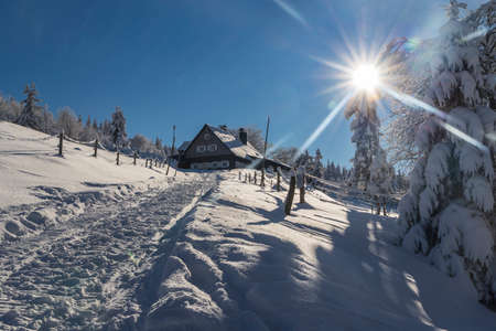 Winter landscape around Horni Mala Upa, Giant Mountains (Krkonose), Northern Bohemia, Czech Republicの写真素材