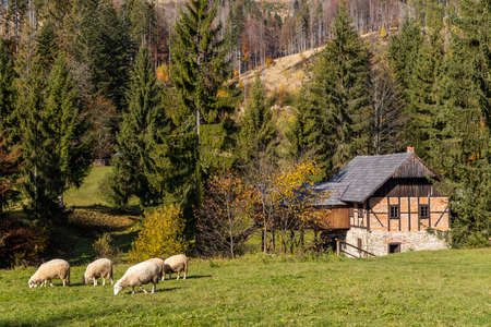 Museum Kysucke dediny in Kysuca, Slovakiaのeditorial素材