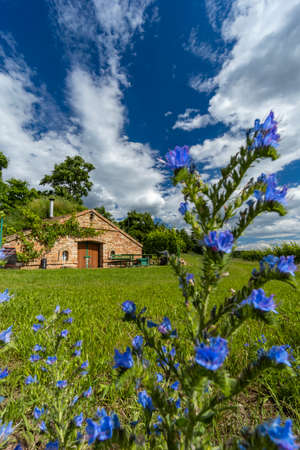 Wine cellars and vineyard in Palava region, Southern Moravia, Czech Republicのeditorial素材