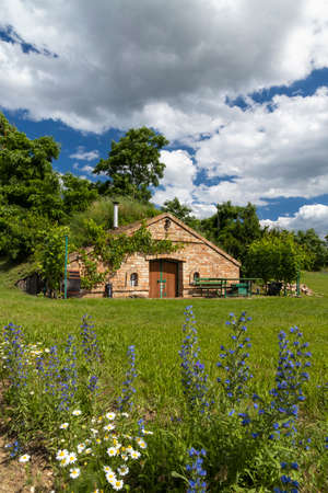 Wine cellars and vineyard in Palava region, Southern Moravia, Czech Republicのeditorial素材