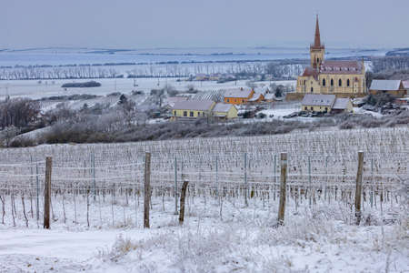 Konice church with vineyard, Znojmo region, Southern Moravia, Czech Republicの写真素材